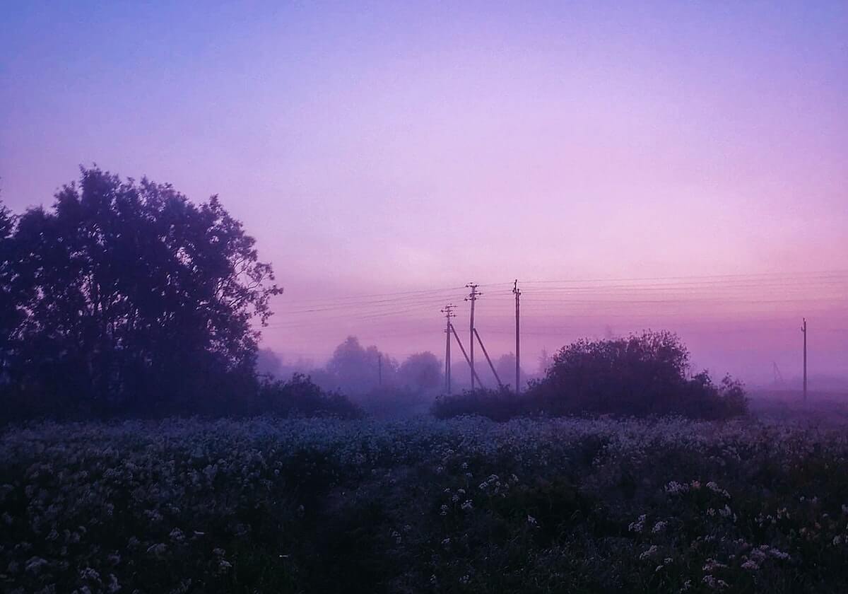 92%胜率+5200张票售罄！樊振东迎战反手挑战者，能稳夺德甲首冠吗