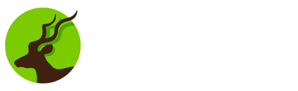百度体育